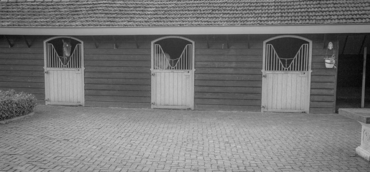 Bed En Box 3610 Bed and Breakfast Oirschot Eksteriør billede